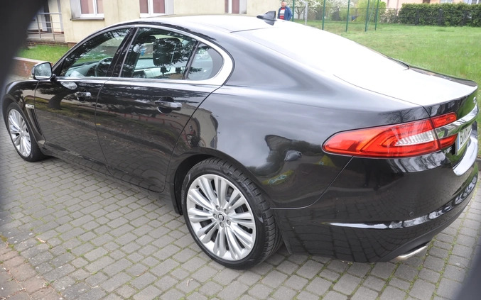 Jaguar XF cena 59900 przebieg: 226000, rok produkcji 2014 z Recz małe 436